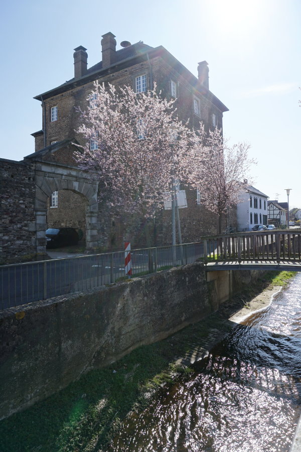 Auf dem Bild ist der Orbach im Frühling und eine Brücke darüber zu sehen, welche in Richtung Burg Odendorf führt.