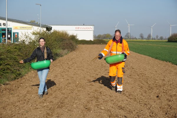 Auf dem Bild sind Mitarbeiter der Gemeinde Swisttal zu sehen, die auf einem Feld Samen aussähen. Das Feld befindet sich hinter einem Gewerbegebiet. Im Hintergrund sind Windmühlen zu sehen.