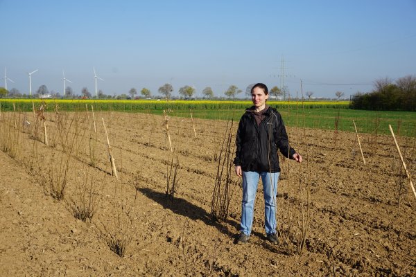 Eine Mitarbeiter der Gemeinde steht auf einem Feld, auf dem die Ausgleichsbepflanzung erfolgt ist. Im Hintergrund ist ein Rapsfeld sowie Windmühlen zu sehen.