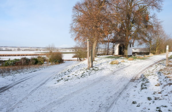 Die Swisttaler Winterlandschaft bei Buschhoven mit Blick auf das Kappellchen