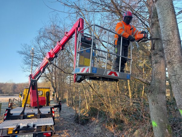 Ein Mitarbeiter des Bauhofs steht bei Schnittarbeiten auf dem Gemeindegebiet auf einem Kran und hat eine Motorsäge in der Hand.